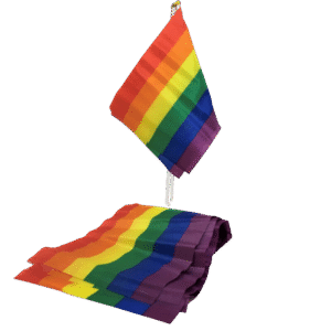 PRIDE – LGBT FLAG SMALL FLAG BANNER