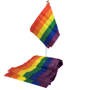 Pride Flagga - Liten Vimpel med LGBT Färger