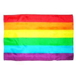 Pride-flagga LGBT Medium