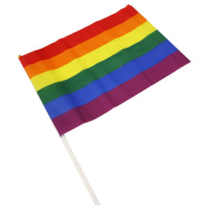 Pride-flagga stor vimpel - Regnbågsflagga