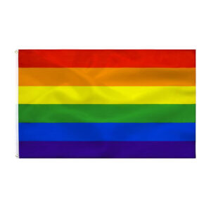 Regnbågsflagga Pride 90 x 150 cm