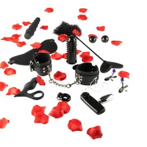 Toy Joy Lovetoy Starter Kit Set